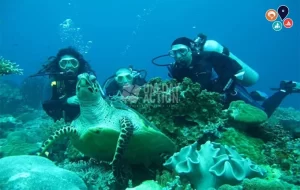 Alanya Tüplü Dalış Turu | Kale Çevresi ve Mağaralar | Memnuniyet Garantili