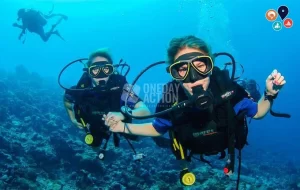 Bodrum Tüplü Dalış Turu | Ege Koyları ve Mercan Kayalıkları