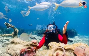 Kuşadası Sualtı Dalış Turu | Koylarda Yüzme Molası!